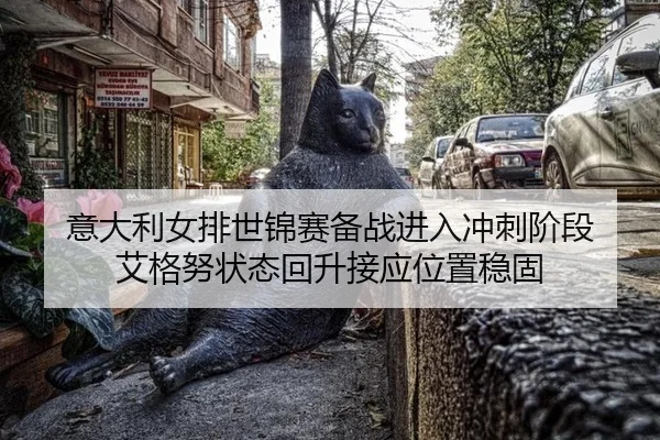 意大利女排世锦赛备战进入冲刺阶段 艾格努状态回升接应位置稳固