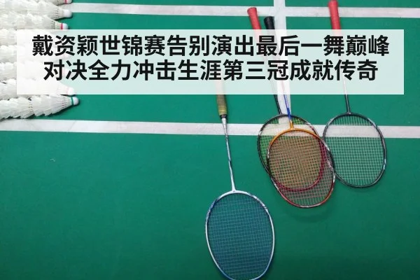 badminton final match